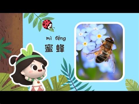 蜜蜂象徵意義|蜂鳥的象徵意義